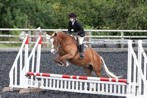 Class 3 -  Fences not above 2'3